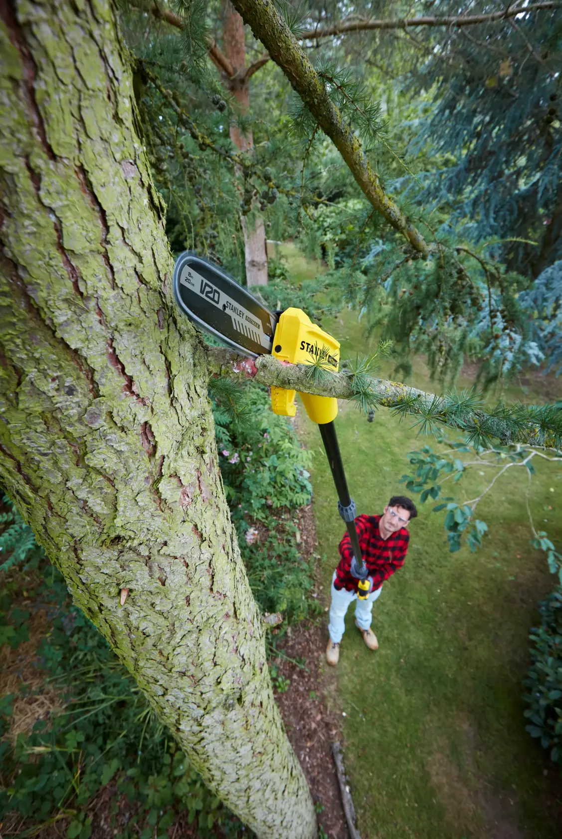 STANLEY SFMCPS620M1 pole saw cutting high tree branch in garden, user in plaid shirt operating from below.