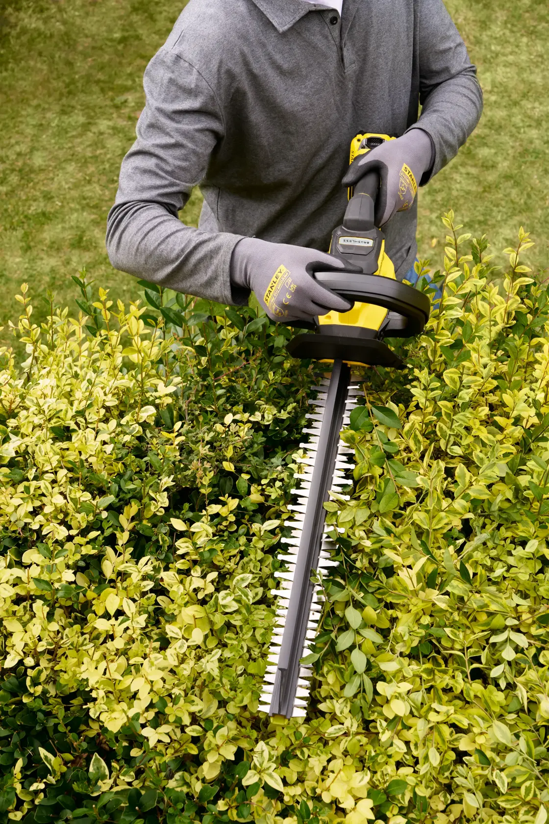 Foto einer Person, die den STANLEY STCHT8255B Heckenschneider an einer grünen und gelben Hecke im Freien verwendet.